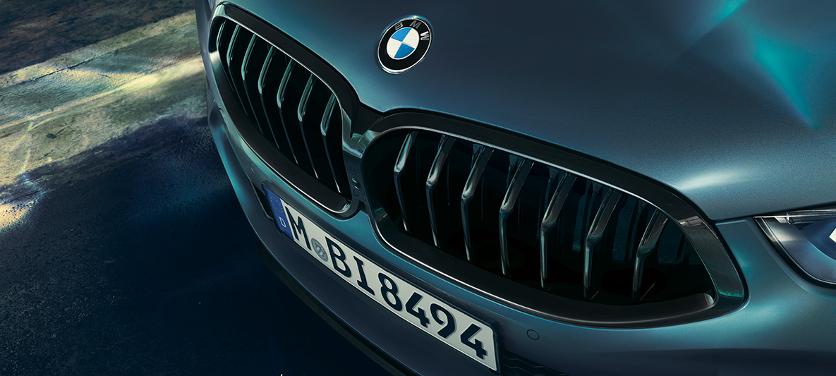 BMW M850i Coupé First Edition, BMW Niere Close-up der BMW Niere des BMW M850i Coupé First Edition