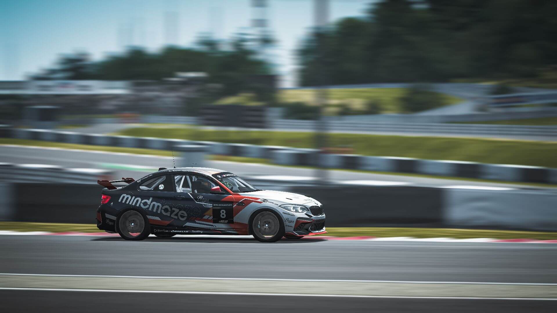 BMW SIM RACING. BMW SIM RACING.