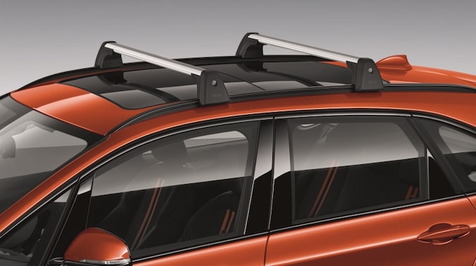 BMW Relingtrager fur X1 F48